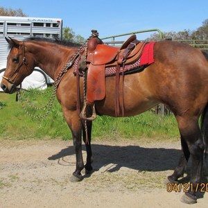 Meet your Posher, Ron